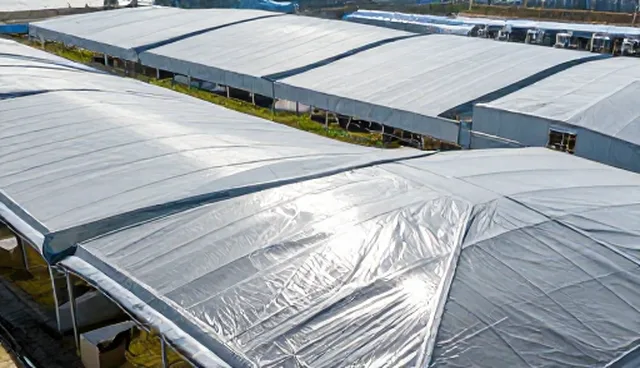 提升运维效率：云迁移解决方案选型与应用建议